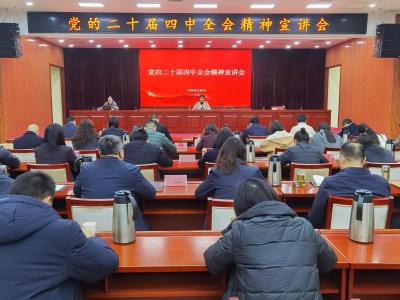 夷陵区举行统一战线“深学细悟聚共识”党的二十届四中全会宣讲暨  “大家谈”活动