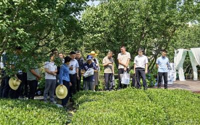 【政协工作回眸】之二：聚焦群众路线 深耕协商民主