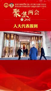 凝心聚力谋发展，夷陵区人大代表向大会报到