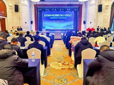 共赴数字之约 共话发展新篇