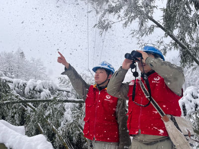 夷陵供电：雪中巡线保供电 守护高山灯火明
