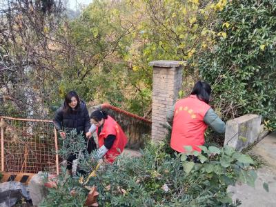 清理白色垃圾 守护田园路净