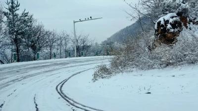 浴“雪”奋战 温暖守护