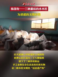 杨国有——三峡最后的水木匠