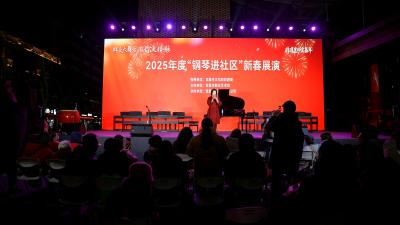新春乐章奏响街头巷尾 夷陵社区钢琴节目全市展演
