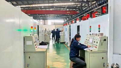 【新春走基层】新春生产忙 培育钻石“生长”不停歇