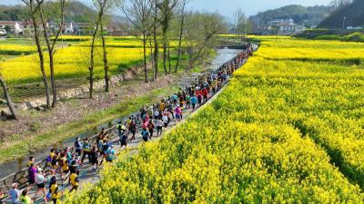 花海逐风 千峰竞秀——大王岩登山赛点燃乡村振兴“新赛道”