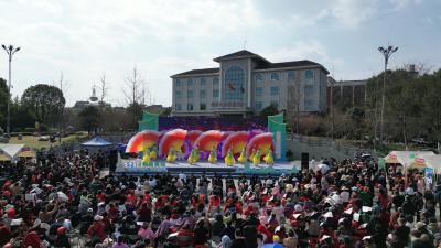 文化科技卫生“三下乡”进夷陵 雷锋精神闪耀梅林村