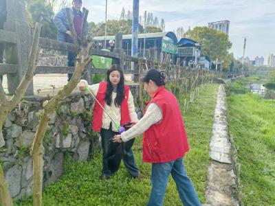 平湖社区：清洁家园齐动手 碧水长流共守护