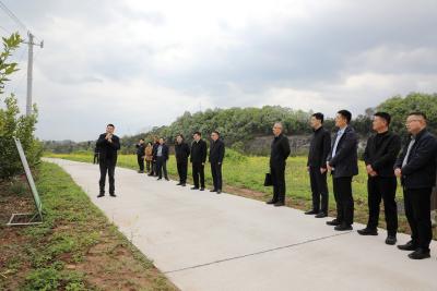 统筹农业农村重点工作 筑牢乡村振兴坚实根基