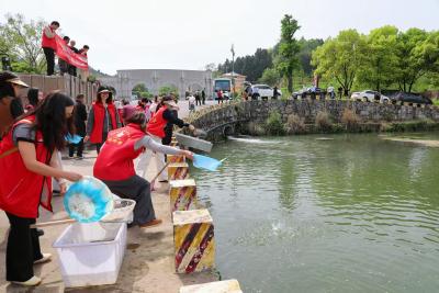 鱼跃柏临添生机 青干践责护生态