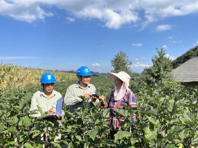 大山深处的“掌灯人”
