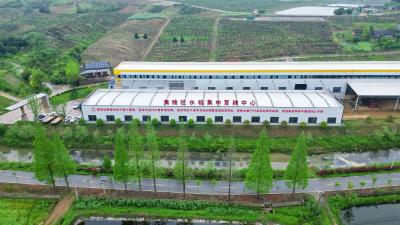 夷陵区首批集中育秧启动