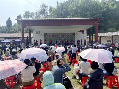 文仙洞村樱桃采摘活动火热启幕 满园红樱醉游人