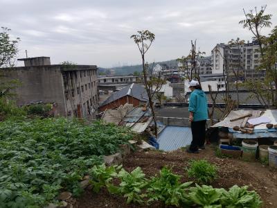 港虹社区：春季踏查无死角 禁毒宣传入人心