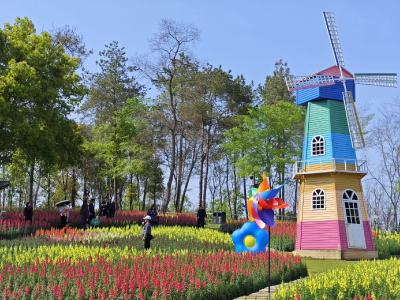 春满夷陵！两大赏花胜地同步绽放 尽显春日生机