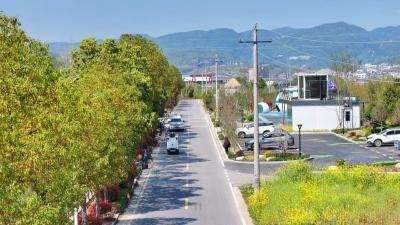 告别“步巡眼查” 夷陵农村公路养护用上“AI超能力”