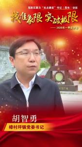 【找准象限突破极限】夷陵区聚力“支点建设”书记(局长)系列访谈一-樟村坪镇.mp4