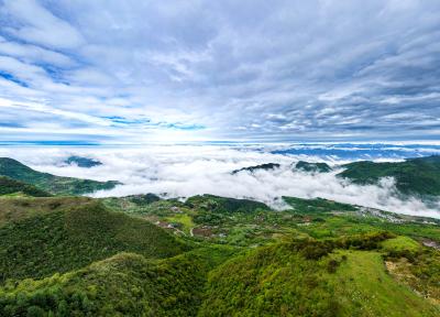 人间四月芳菲尽 百里荒万亩草地绿如碧毯