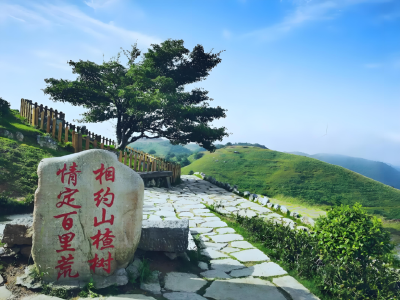 全省首创“林业碳汇+零碳旅游”模式落地百里荒
