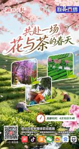 联“县”直播预告丨共赴一场花与茶的春天·赏夷陵映山红