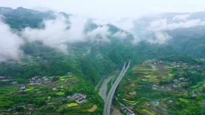 你好，夷陵！黄花镇·杨家河村！
