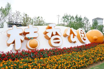 鸦鹊岭镇桔香公园正式开园 文旅休闲再添新地标