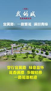 宜黄路:一路繁花 满目青绿.mp4