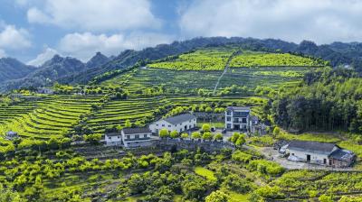 依托峡江山水资源 焕发振兴新活力