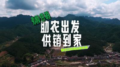 助农出发 供销到家