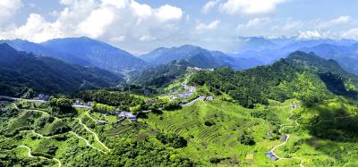 青山铺茶海 凉乡引客来——邓村以茶旅融合激活乡村振兴