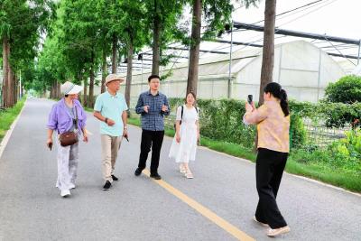 寻美鸦鹊岭 同心促振兴