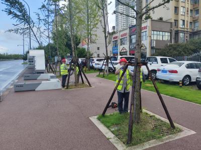 筑牢绿化安全防线 扎实做好极端天气防范应对工作