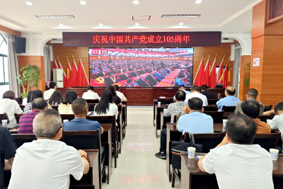 百年风华映初心 笃行不怠启新程——夷陵各地各部门集中收看庆祝中国共产党成立105周年大会