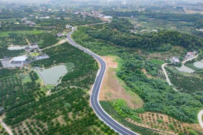 一路“彩虹”入桔乡 梅黄公路改造铺就鸦鹊岭富民快车道