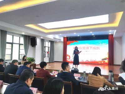 区纪委监委开展机关青年干部“青春在党旗下成长”主题活动