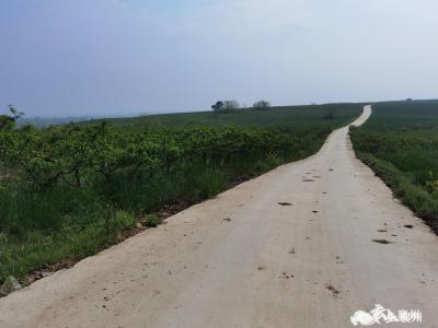 产业路凝聚代表情 