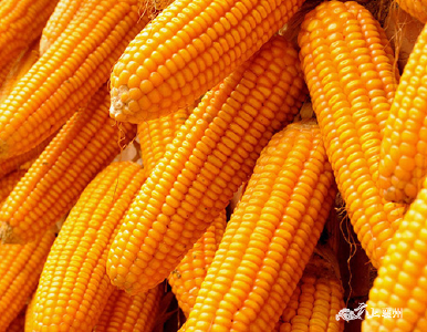 襄州區獲得2022年農產品進口關稅配額2268噸