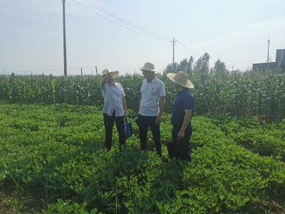 中農集團現代農服公司到襄州區考察調研