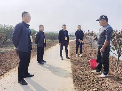 黄龙镇：打造“醉美桃花坞” 助力乡村旅游发展