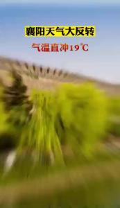 襄阳天气大反转 气温直冲19℃
