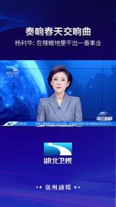 【奏响春天交响曲】+杨利华：在辣椒地里干出一番事业