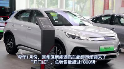 襄州新能源车市迎来“开门红”