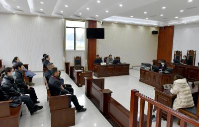 人大代表旁听庭审 打造“阳光下的法庭”