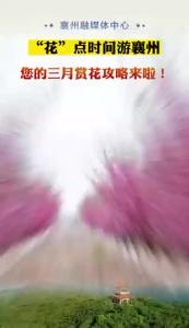 三月赏花攻略