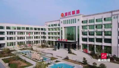 奋进在农业现代化的征程上
