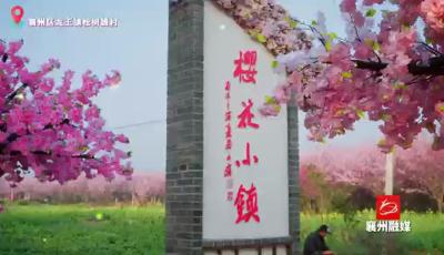 粉色樱花季+如约而至