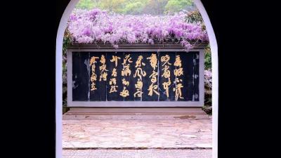 【鹿门山景区】最美人间四月天+踏青出游正当时