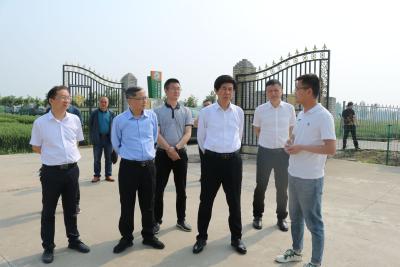 省农业农村厅领导到襄州区调研夏粮生产工作