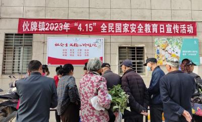 伙牌镇开展“4.15”国家安全教育日宣传活动